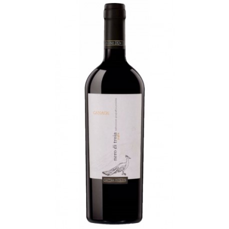 CANACE NERO DI TROIA CANTINA DIOMEDE